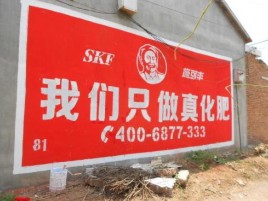 南丹刷墙广告”蕴含了时代命题
