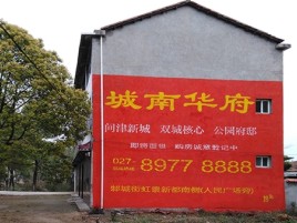 南丹百分之90的人都不了解的农村墙体广告