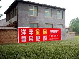 南丹如何让墙体广告展现最大化效果