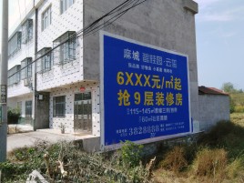 南丹墙体广告质量分析