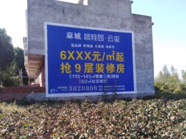 南丹品牌公司青睐的墙体广告