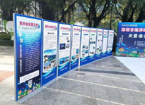 南丹KT板的种类和知识。